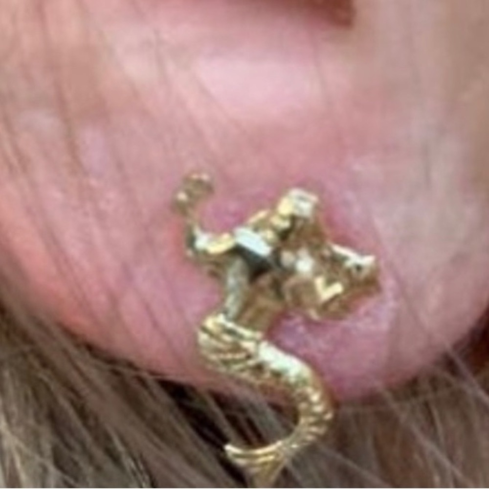 🧜🏽‍♀️🦜 Gold Little Mermaid Exquisite Detail Stud Earring
